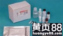 探索生命科學邊界 武漢市古泰生物技術有限責任公司主營試劑、抗體與耗材業務解析